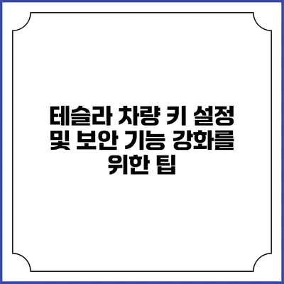 테슬라 차량 키 설정 및 보안 기능 강화를 위한 팁