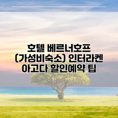 호텔 베르너호프 (가성비숙소) 인터라켄 아고다 할인예약 팁