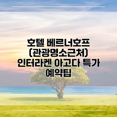 호텔 베르너호프 (관광명소근처) 인터라켄 아고다 특가 예약팁