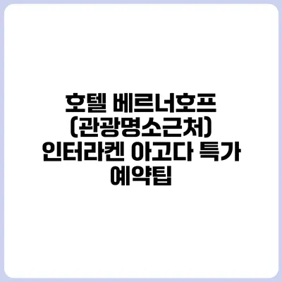 호텔 베르너호프 (관광명소근처) 인터라켄 아고다 특가 예약팁