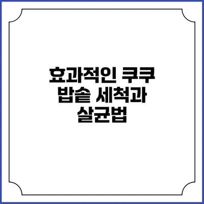효과적인 쿠쿠 밥솥 세척과 살균법