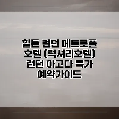 힐튼 런던 메트로폴 호텔 (럭셔리호텔) 런던 아고다 특가 예약가이드